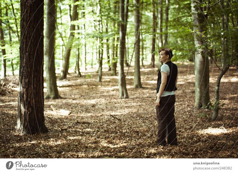 ich fühl mich brandenburg. Erholung ruhig Ausflug Frau Erwachsene 1 Mensch Umwelt Natur Landschaft Pflanze Baum Wald brünett beobachten gehen genießen Blick