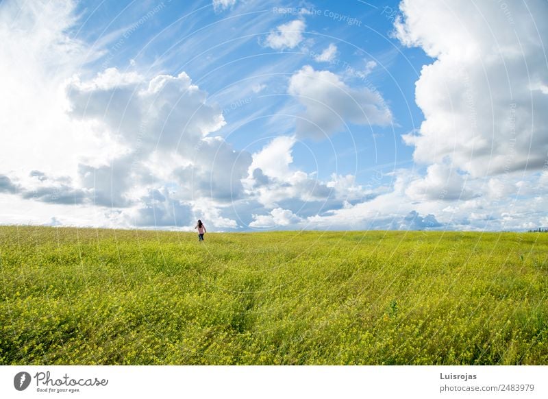 Mädchen, das auf einem Feld mit gelben Blumen spazieren geht, sonniger Tag Freude Gesundheit Leben Mensch feminin 1 3-8 Jahre Kind Kindheit 8-13 Jahre Umwelt