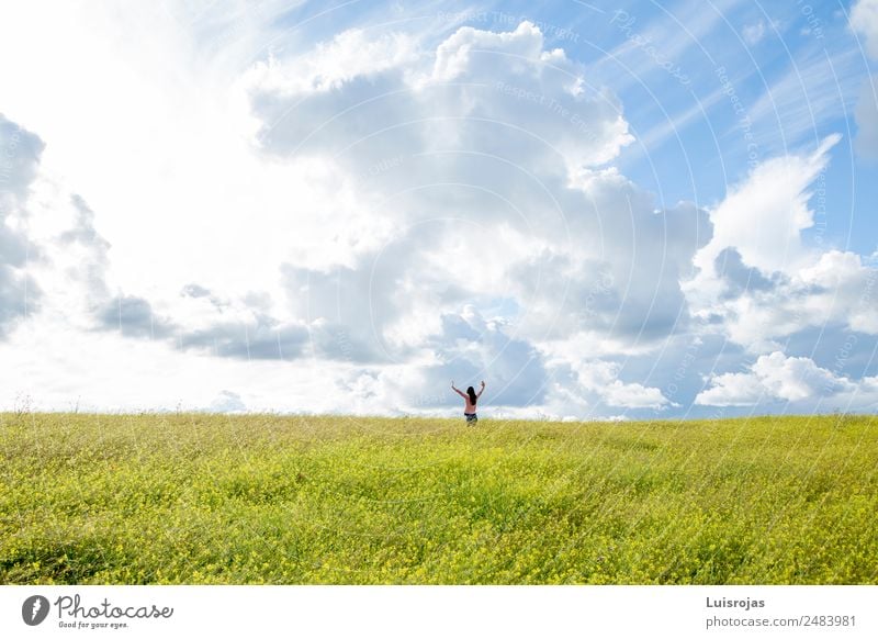 Mädchen, das auf einem Feld mit gelben Blumen spazieren geht, sonniger Tag Mensch feminin Kind Kindheit 1 3-8 Jahre atmen Bewegung genießen laufen Spielen