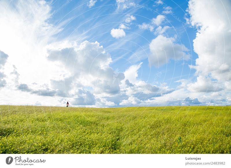 Mädchen, das eines Tages auf einem Feld mit gelben Blumen spazieren geht. Lifestyle Freude Ferien & Urlaub & Reisen Freiheit Mensch feminin Kind 1 3-8 Jahre