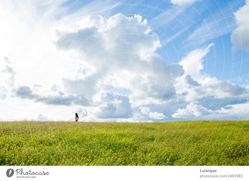 Mädchen auf einem Feld mit gelben Blumen am Tag mit Wolken Mensch feminin Kind 1 3-8 Jahre Kindheit genießen hören Ferien & Urlaub & Reisen Spielen träumen