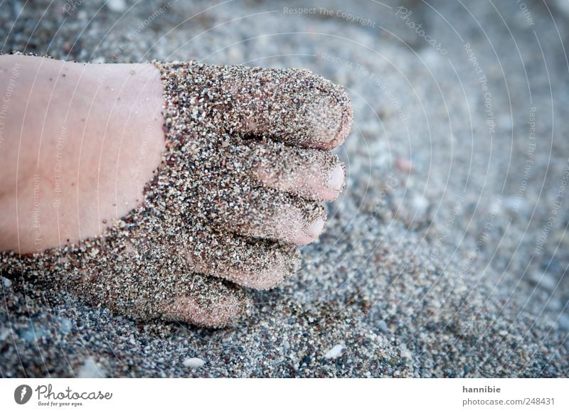 Sand.ale Fuß Strand Bucht Meer blau grau rosa Lebensfreude Freiheit Freizeit & Hobby Freude Ferien & Urlaub & Reisen Zehen Sommer Erholung Five Fingers Farbfoto