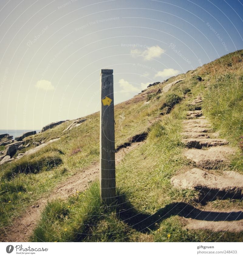 upwards Umwelt Natur Landschaft Pflanze Urelemente Erde Himmel Wolken Sommer Schönes Wetter Gras Wiese Hügel Felsen Küste wandern Pfosten Wegweiser