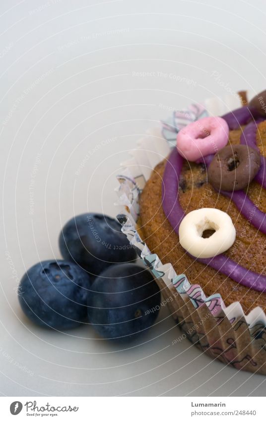 Sweetie Lebensmittel Frucht Teigwaren Backwaren Kuchen Dessert Süßwaren Ernährung Duft frisch gut schön lecker rund süß Zuckerguß Spirale Muffin Blaubeeren 3