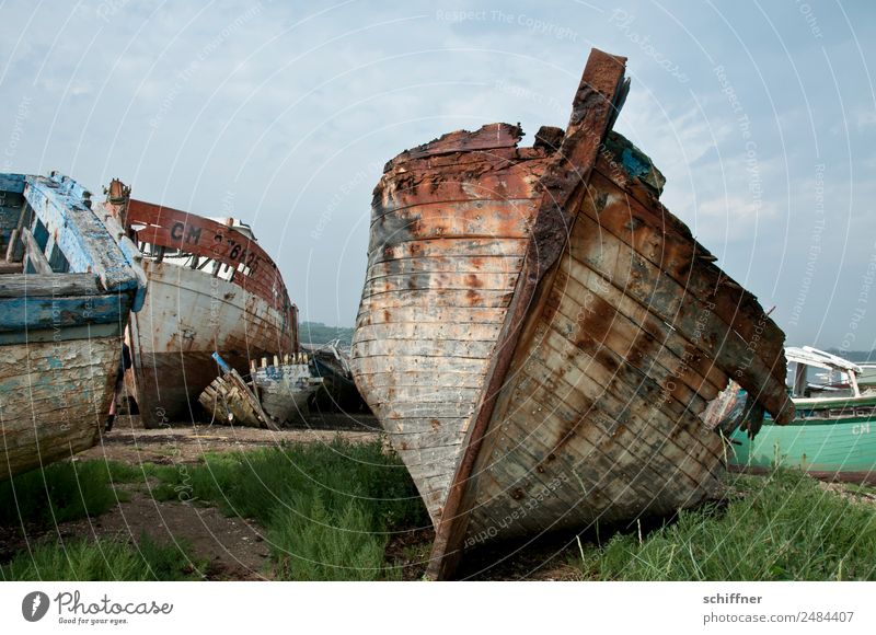 Zur Neige gehen schlechtes Wetter Bucht Schifffahrt Beiboot Ruderboot alt Verfall verfallen Schiffsbug Schiffswrack Wasserfahrzeug Fischerboot Friedhof