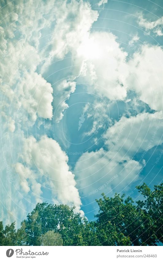 Verkehrte Welt Himmel grün Wolken blau verdreht verkehrt oben unten