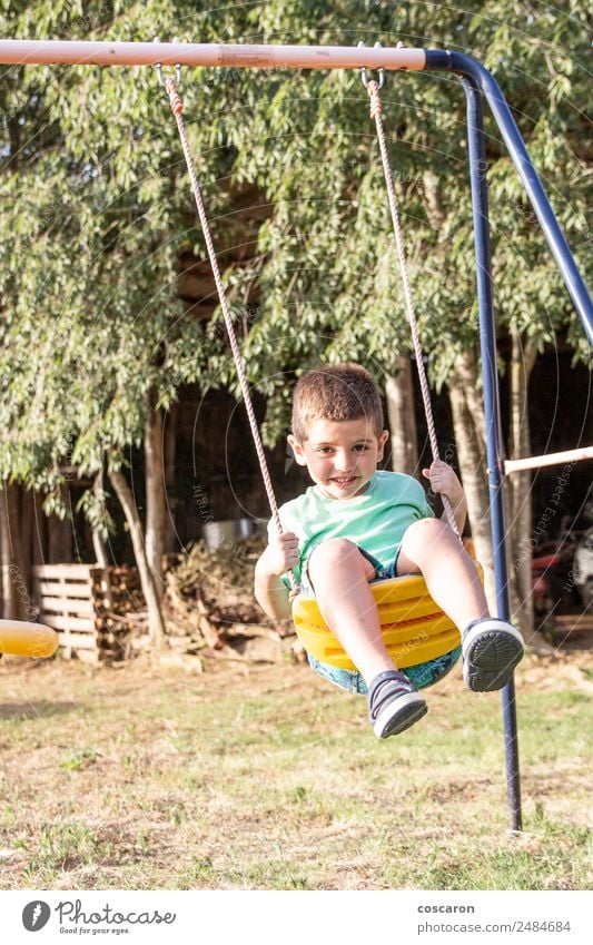 Süßer kleiner blonder Junge, der auf Schaukeln schwingt. Lifestyle Freude Glück Gesicht Freizeit & Hobby Spielen Freiheit Sommer Kind Mensch Kleinkind Mann