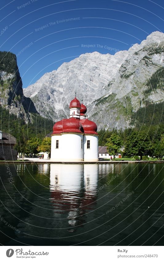 Schifffahrt nach St. Bartholomä Natur Landschaft Wasser Himmel Wolkenloser Himmel Sommer Baum See Schwimmen & Baden beobachten fahren wandern Königssee Kirche