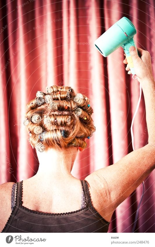 Total verfönt! schön Haare & Frisuren Friseur Mensch feminin Frau Erwachsene Kopf Rücken Arme 1 Theaterschauspiel Show Stoff Maske Locken Behaarung Streifen