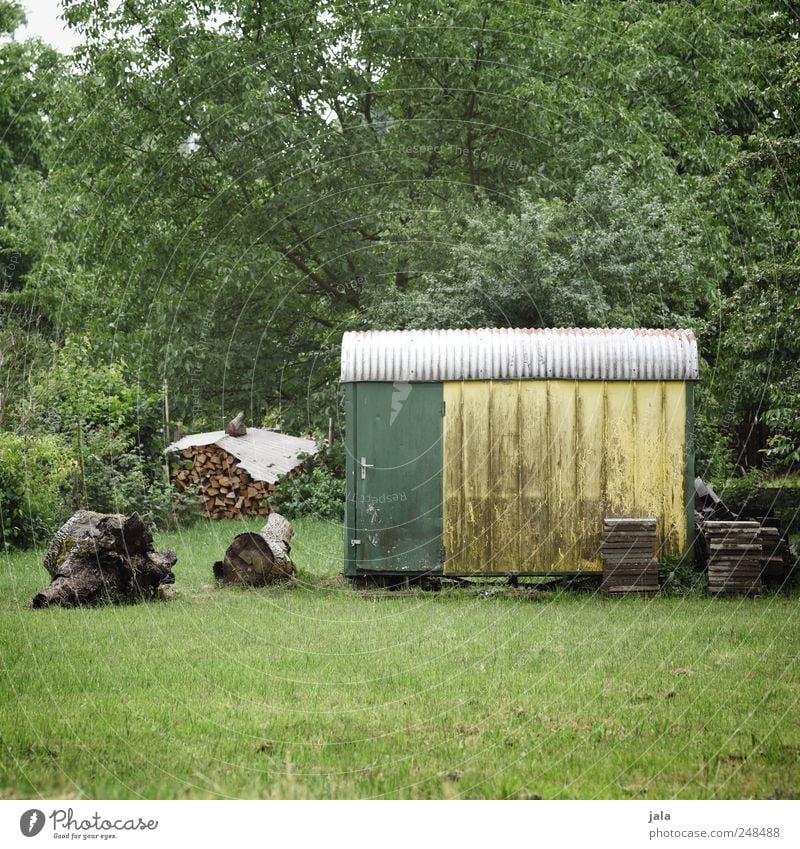 garten Umwelt Natur Pflanze Baum Gras Sträucher Grünpflanze Nutzpflanze Garten Wiese Bauwagen natürlich gelb grün weiß Holz Farbfoto Außenaufnahme Menschenleer