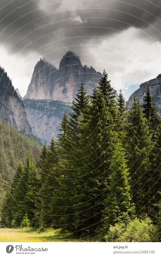 Nordseite Ferien & Urlaub & Reisen Ausflug Sommerurlaub Berge u. Gebirge wandern Natur Landschaft Gewitterwolken Klima Tanne Wald Felsen Alpen Drei Zinnen