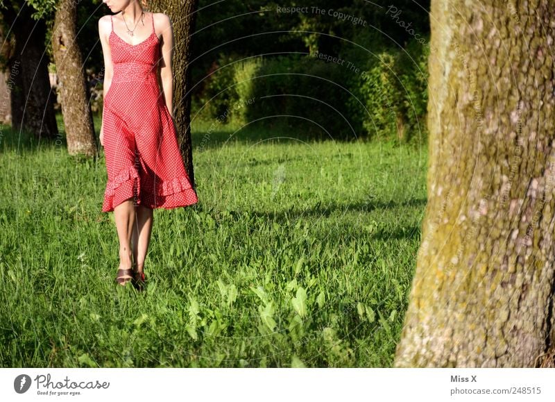 Unterwegs Mensch feminin Junge Frau Jugendliche 1 Natur Sommer Schönes Wetter Baum Gras Park Wiese Kleid gehen schön rot Spaziergang Einsamkeit Farbfoto