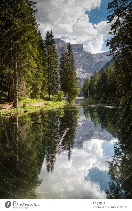 Zulauf Ferien & Urlaub & Reisen Berge u. Gebirge Natur Landschaft Himmel Wolken Sommer Baum Tanne Nadelbaum Wald Alpen Dolomiten Seeufer Pragser Wildsee Italien