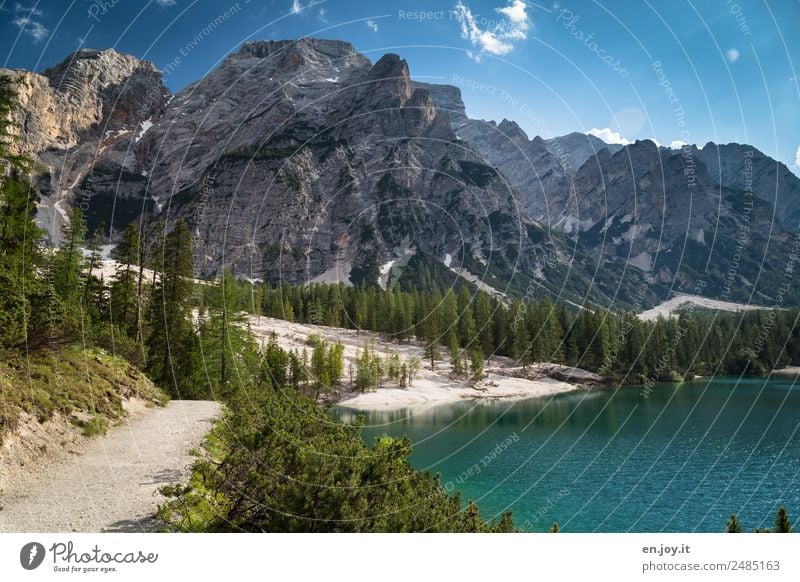 frei sein Ferien & Urlaub & Reisen Ausflug Ferne Freiheit Sommer Sommerurlaub Strand Berge u. Gebirge wandern Natur Landschaft Pflanze Schönes Wetter Wald Alpen