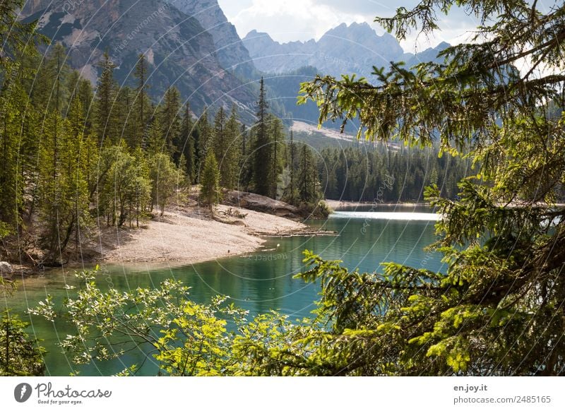 Umrunden Ferien & Urlaub & Reisen Ausflug Abenteuer Sommer Sommerurlaub Berge u. Gebirge Natur Landschaft Baum Tanne Nadelbaum Wald Felsen Alpen Dolomiten