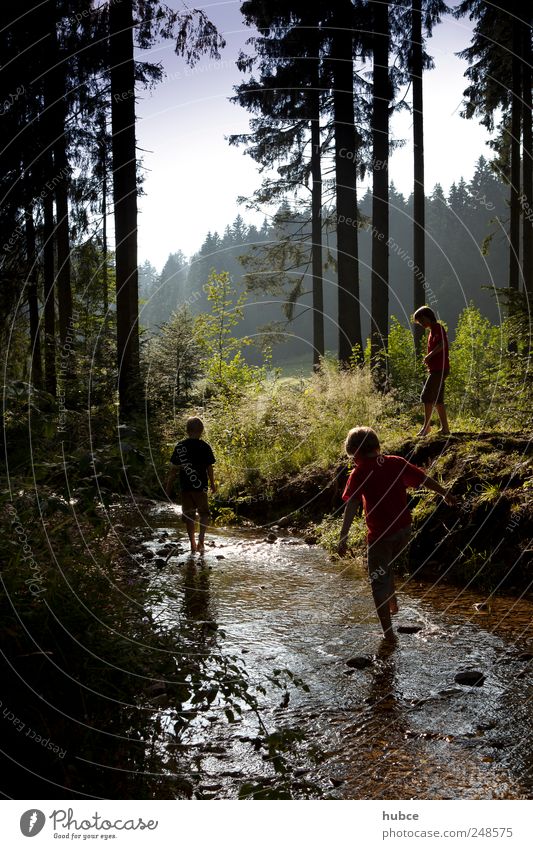 Spaß am Bach Kind Junge Geschwister Freundschaft Kindheit Jugendliche 3 Mensch Kindergruppe 8-13 Jahre Umwelt Natur Landschaft Pflanze Urelemente Erde Wasser