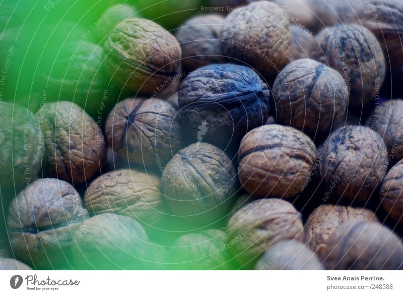 walnüsse. Walnuss Ernährung Bioprodukte Nuss natürlich Walnussblatt Farbfoto Gedeckte Farben Innenaufnahme Menschenleer Starke Tiefenschärfe