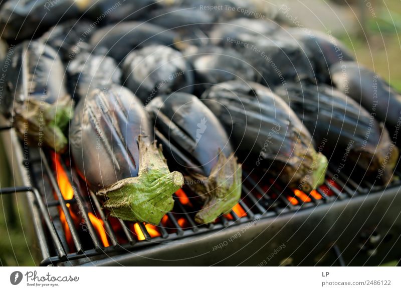 gegrillte Auberginen Lebensmittel Gemüse Ernährung Picknick Bioprodukte Vegetarische Ernährung Diät Fasten Slowfood Lifestyle Sommer Garten Lebensfreude