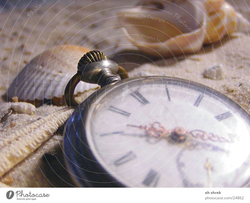 Zeit am Meer Uhr Strand Muschel Taschenuhr Freizeit & Hobby Sand