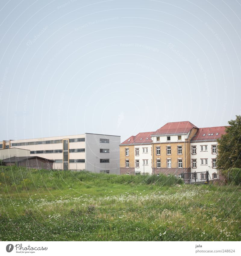 stadtrand Himmel Baum Gras Sträucher Grünpflanze Wiese Haus Bauwerk Gebäude Mauer Wand Fassade Fenster natürlich Stadt Farbfoto Außenaufnahme Menschenleer