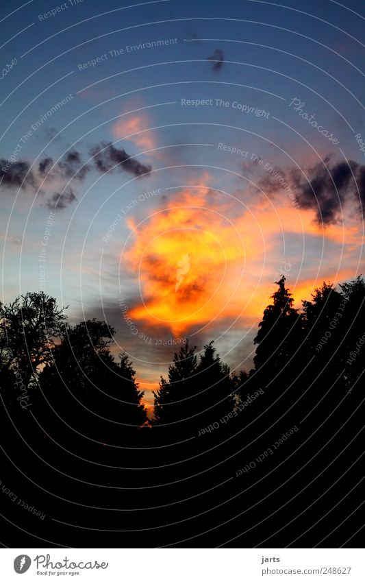 skyshine Umwelt Himmel Wolken Sonnenaufgang Sonnenuntergang Wetter Schönes Wetter schlechtes Wetter fantastisch frei Wärme Natur Farbfoto Außenaufnahme