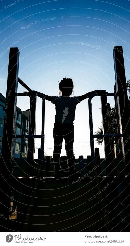 hübsches kleines Mädchen auf einer Kinderrutsche Freude Erholung Freizeit & Hobby Spielen Sommer Kindergarten Schulhof Schulkind Mensch Kindheit Park Spielplatz