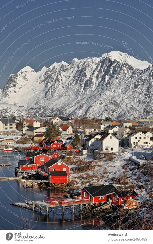 Reinevagen gulf-mts.over Reinefjorden. Reine-Lofoten-Norwegen-0288 Fisch Meeresfrüchte ruhig Angeln Ferien & Urlaub & Reisen Tourismus Sonne Insel Schnee