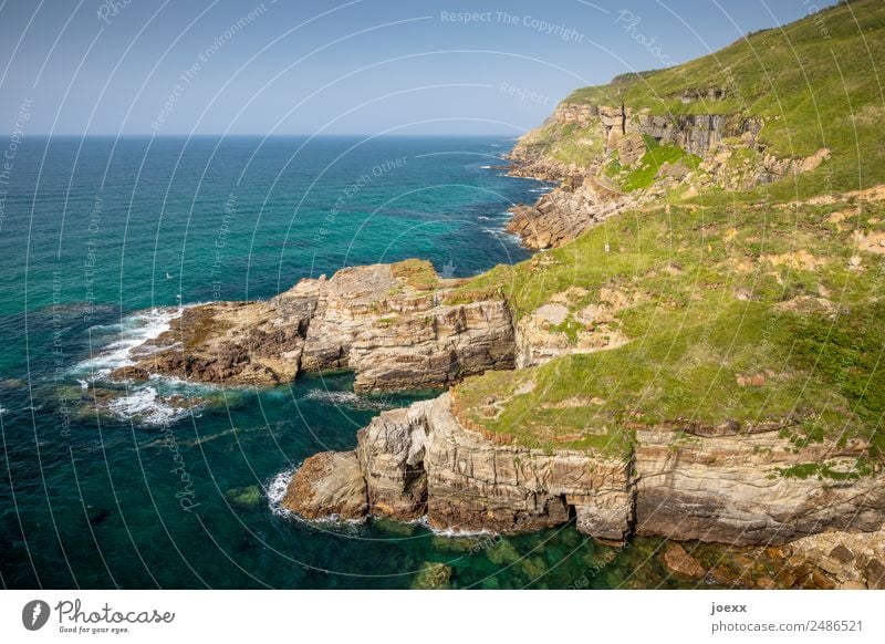 Grüne Felsküste an ruhigem Meer in Nordspanien wild Natur Wellen schichten Steilküste hoch Gischt Brandung Mauer Felsen außenaufname Landschaft Menschenleer