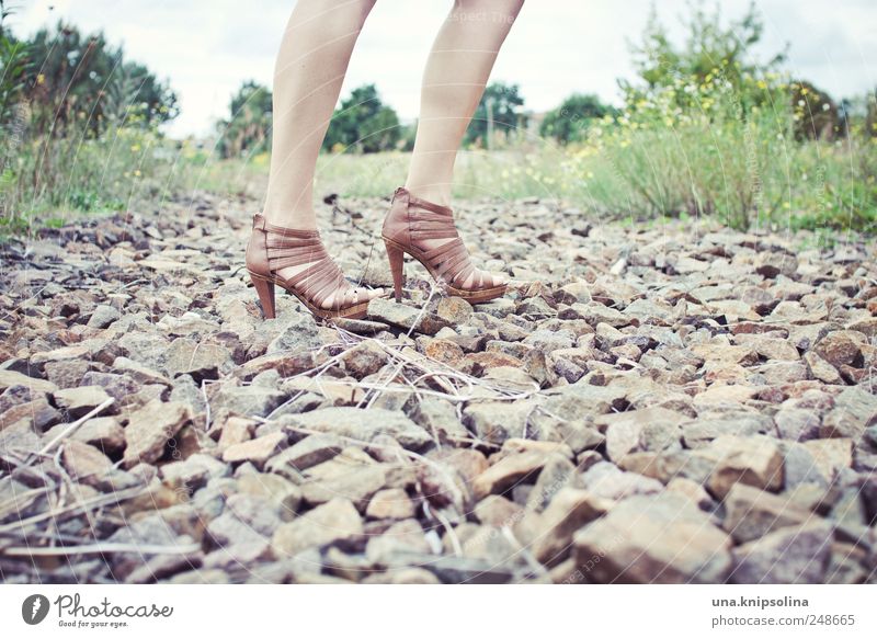 these shoes aren't made for walking Lifestyle feminin Frau Erwachsene Beine Fuß 1 Mensch Umwelt Natur Straße Schuhe Damenschuhe gehen elegant fantastisch schön