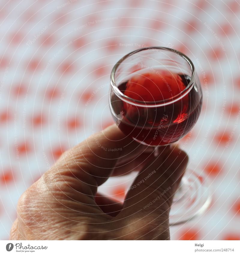 Pröstchen... Getränk trinken Alkohol Spirituosen Likör Likörglas Glas Mensch Hand Finger Feste & Feiern festhalten genießen authentisch einfach Flüssigkeit