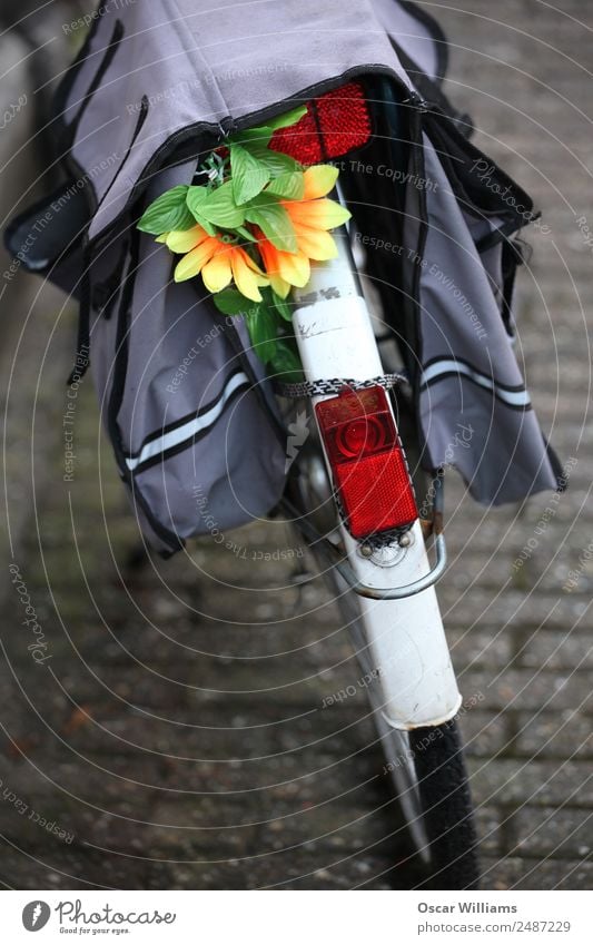 Amsterdam Bike. Fahrrad geparkt Straße Kultur Schaubergwerk Niederländer Niederlande Blume Verkehr Großstadt Stadt Europa