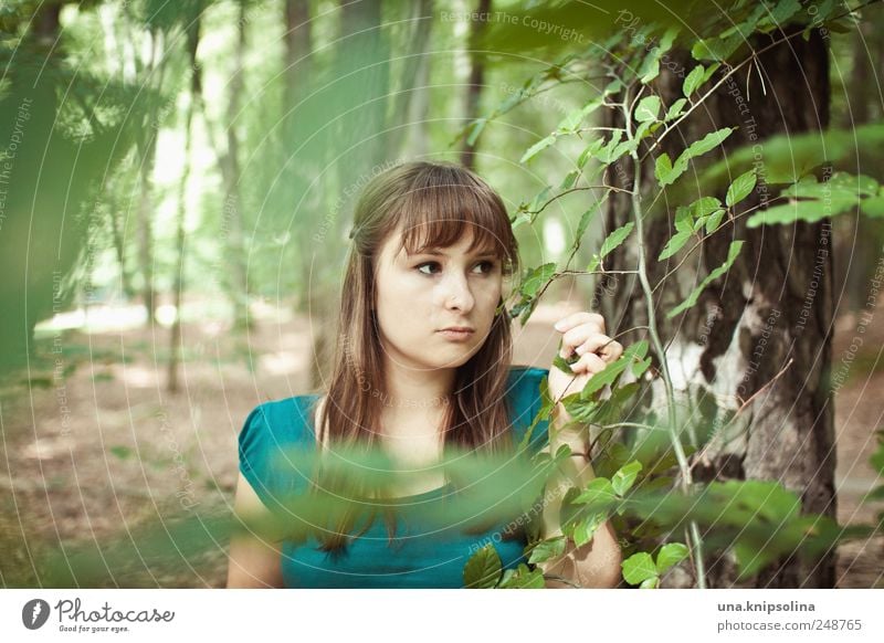 nothing is ever finished Erholung ruhig Ausflug feminin Junge Frau Jugendliche Erwachsene 1 Mensch 18-30 Jahre Umwelt Natur Landschaft Pflanze Baum Blatt Wald