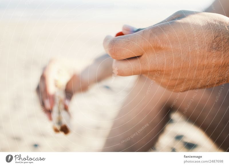 le sandwich I Mensch maskulin Mann Erwachsene Körper Hand 1 Essen Belegtes Brot Picknick Strand Camargue Sand Tomate beige sitzen genießen Lebensmittel