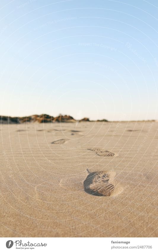 traces II Umwelt Natur Sand Schönes Wetter Küste entdecken gehen laufen Spuren Spaziergang Strandspaziergang Wege & Pfade Fußweg Himmel Urlaubsfoto