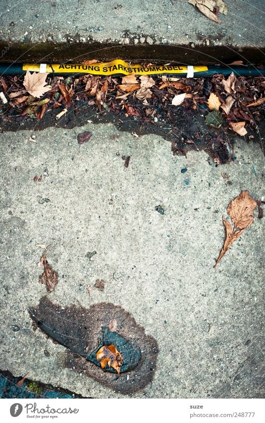 Immer unter Strom ... Kabel Umwelt Beton Fußspur authentisch dreckig Elektrizität Fußweg Abdruck Spuren Herbstlaub Herbstwetter Boden Bodenbelag Typographie