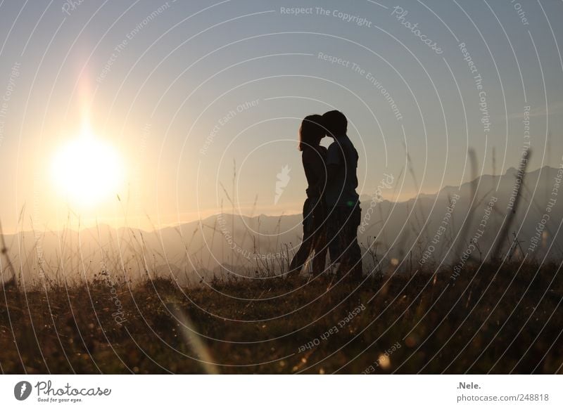 Ein Augenblick. Mensch maskulin Junge Frau Jugendliche Junger Mann Paar Partner 2 Umwelt Natur Landschaft Sonne Sonnenlicht Sommer Küssen Liebe authentisch frei