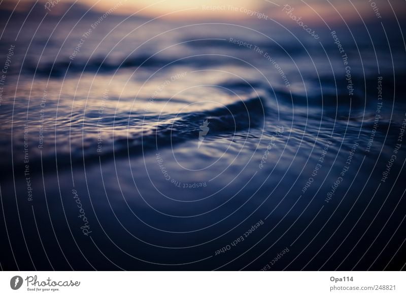 Kleine Welle Umwelt Wasser Sonnenaufgang Sonnenuntergang Sommer Schönes Wetter Wellen Küste Nordsee Meer Insel blau "Sylt klein" Farbfoto mehrfarbig