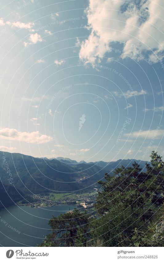 ...da kann man gut... Umwelt Natur Landschaft Pflanze Urelemente Erde Wasser Himmel Wolken Sommer Schönes Wetter Baum Grünpflanze Hügel Berge u. Gebirge Seeufer