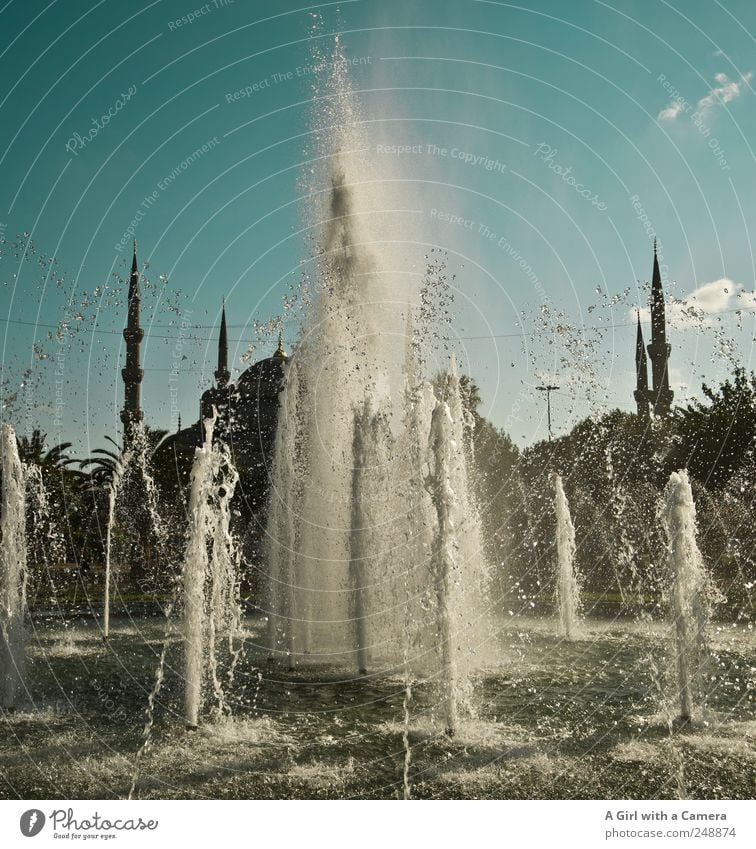 turkish beauty Sommer Schönes Wetter Istanbul Türkei Altstadt Platz Bauwerk Gebäude Architektur Moschee Wasserfontäne Brunnen Minarett Turm Kuppeldach