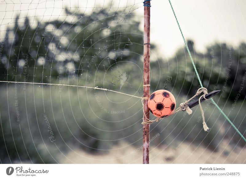 Sommerschlussverkauf Wohlgefühl Freizeit & Hobby Spielen Ferien & Urlaub & Reisen Ausflug Freiheit Sommerurlaub Strand Meer Insel Volleyball Ball Umwelt Natur