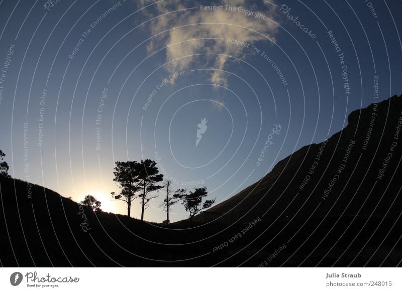 3 4 bäumchen Natur Himmel Wolken Sonnenlicht Sommer Schönes Wetter Baum Berge u. Gebirge Vergänglichkeit blau Farbfoto Außenaufnahme Dämmerung Silhouette