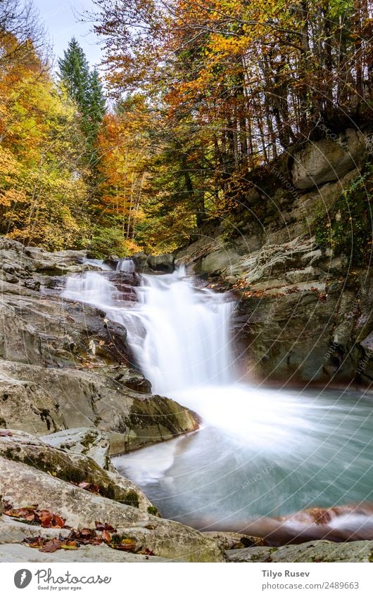 Wasserfall des Würfels, Selva de Irati, Navarra schön Ferien & Urlaub & Reisen Berge u. Gebirge Tapete Umwelt Natur Landschaft Pflanze Herbst Baum Blatt Park