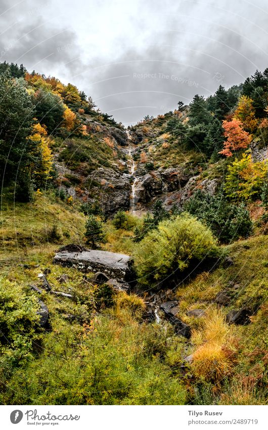 Herbst in den Pyrenäen schön Ferien & Urlaub & Reisen Berge u. Gebirge Umwelt Natur Landschaft Pflanze Himmel Wolken Baum Gras Blatt Park Wald Hügel Platz