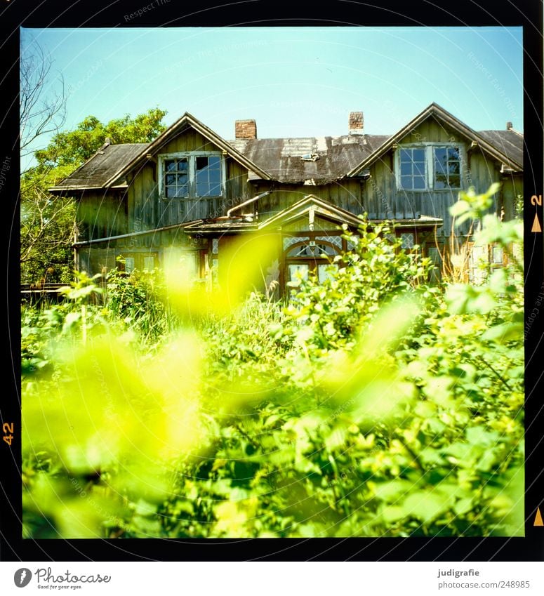 Am Bodden Umwelt Natur Landschaft Pflanze Sommer Schönes Wetter Sträucher Haus Hütte Ruine Bauwerk Gebäude Garten alt historisch kaputt Stimmung Verfall