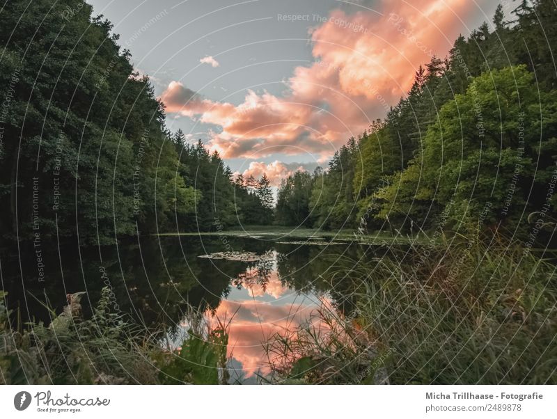 Leuchtend rote Wolken über einem kleinen Teich Ferien & Urlaub & Reisen Tourismus Camping Sonne Natur Landschaft Wasser Himmel Sonnenlicht Schönes Wetter Baum