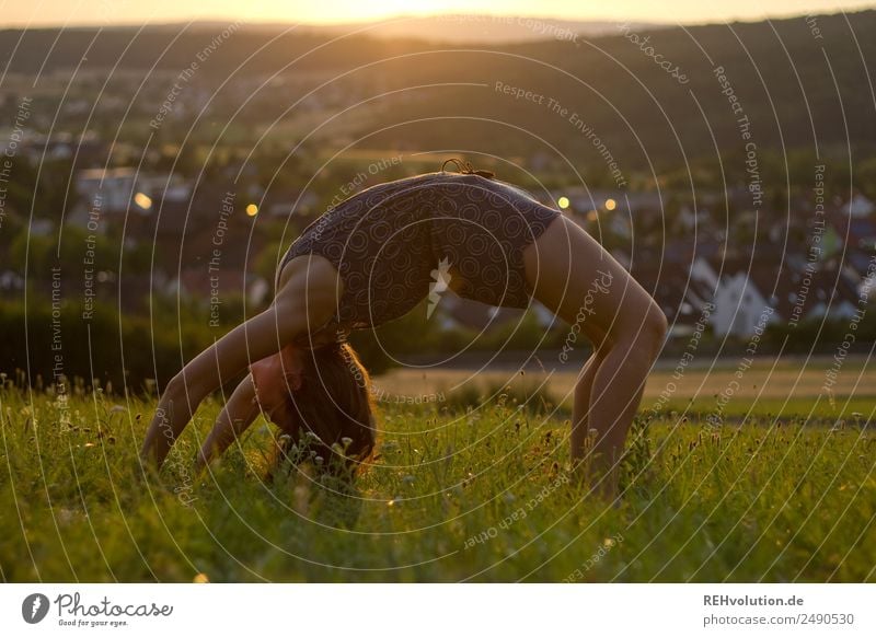 Sommerbrücke Sport Fitness Sport-Training Turnen Mensch feminin Junge Frau Jugendliche Erwachsene 1 18-30 Jahre Umwelt Natur Landschaft Schönes Wetter Gras