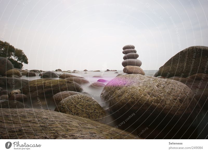 Ruhe bewahren Tourismus Ferne Meer Insel Wellen Umwelt Natur Landschaft Wasser Himmel Wolkenloser Himmel Klima Wetter Pflanze Baum Küste Nordsee Ostsee Stein