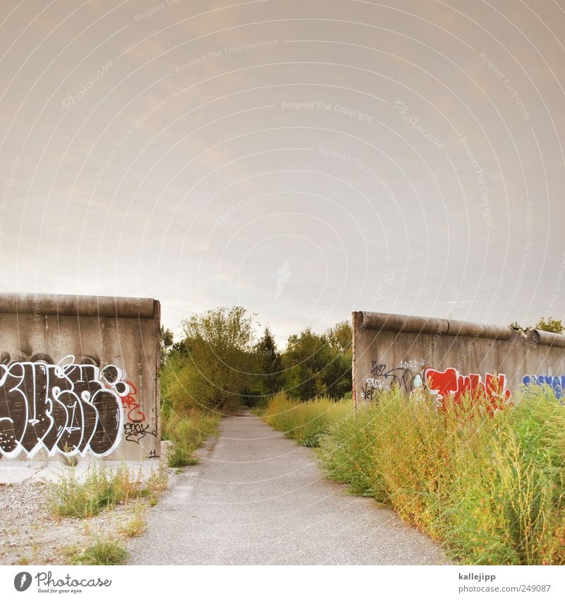 maueröffnung Umwelt Natur Landschaft Pflanze Tier Sommer Wiese Feld Hauptstadt Mauer Wand Sehenswürdigkeit Wahrzeichen Denkmal Wachstum Wege & Pfade