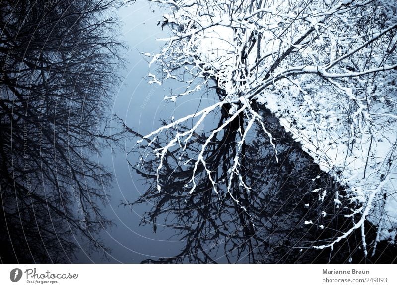 Winter in ... Natur Wasser Himmel Eis Frost Schnee Baum Wald Flussufer Bach Blick kalt schwarz weiß Stimmung schön Schönes Wetter Reflexion & Spiegelung