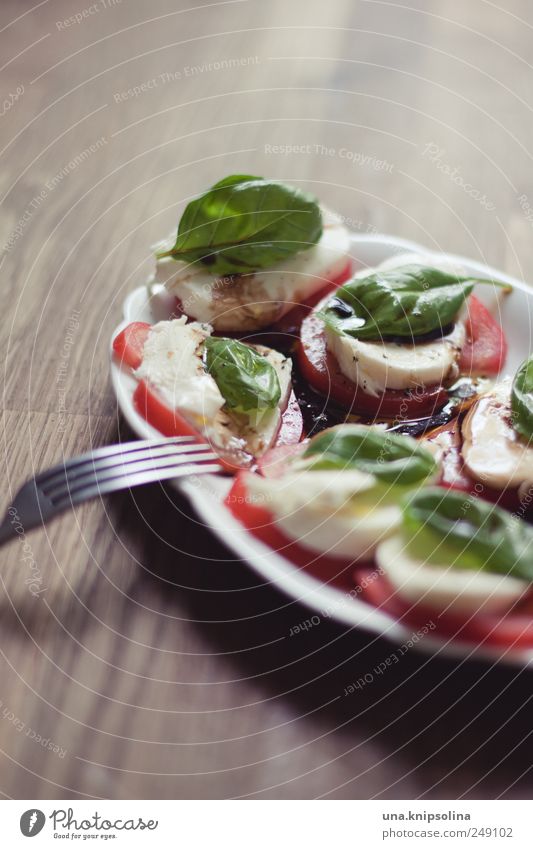 pausensnack Lebensmittel Käse Milcherzeugnisse Gemüse Kräuter & Gewürze Öl Mozzarella Tomate Basilikum Ernährung Mittagessen Büffet Brunch